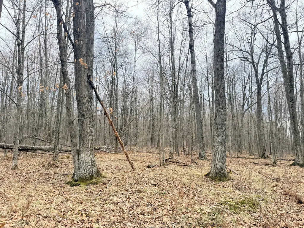 Picture 18