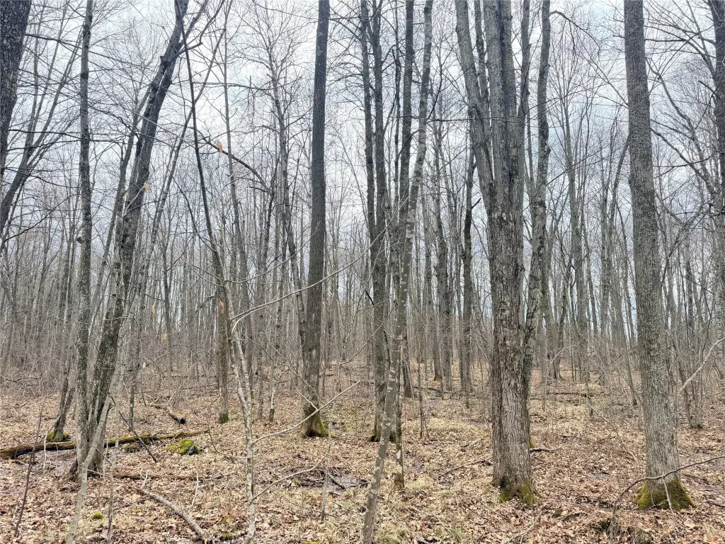 Picture 24