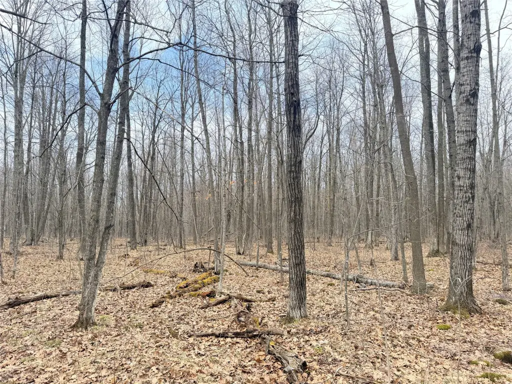 Picture 19