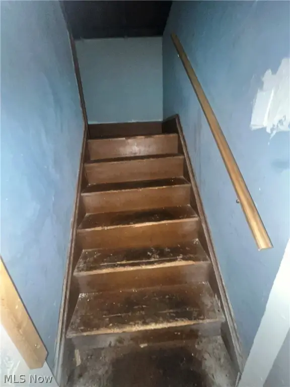 Picture 23