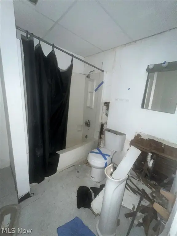 Picture 8