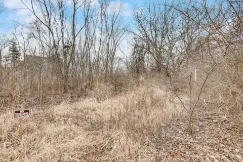 Downers Grove Wooded Lot