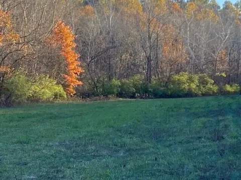 254 Acres of Kentucky Land