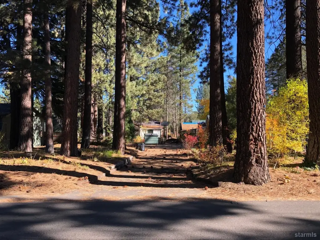 Picture 26