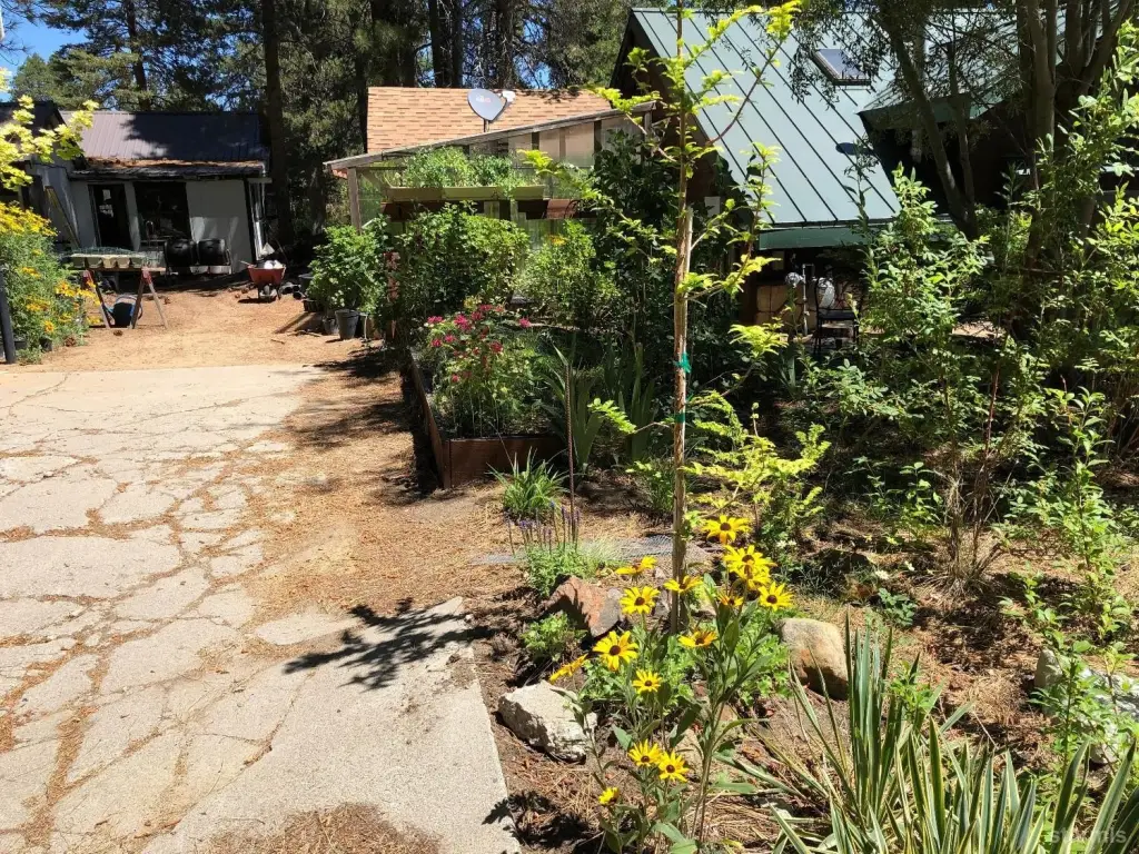 Picture 28