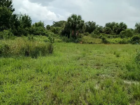 Okeechobee Vacant Land Opportunity