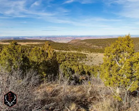 Colorado Land with Hunting Potential