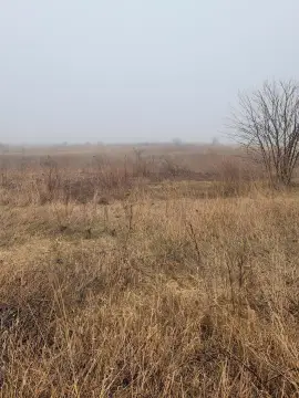 Fennville Land Near Wineries