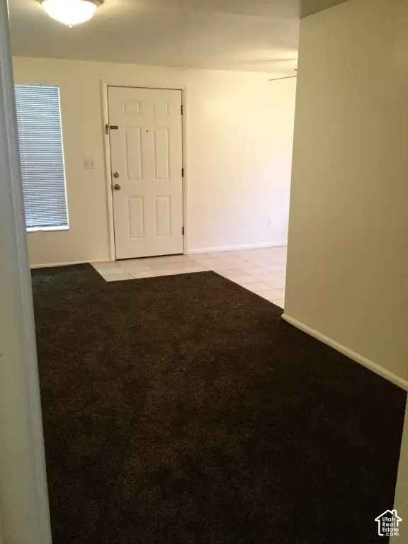 Picture 25