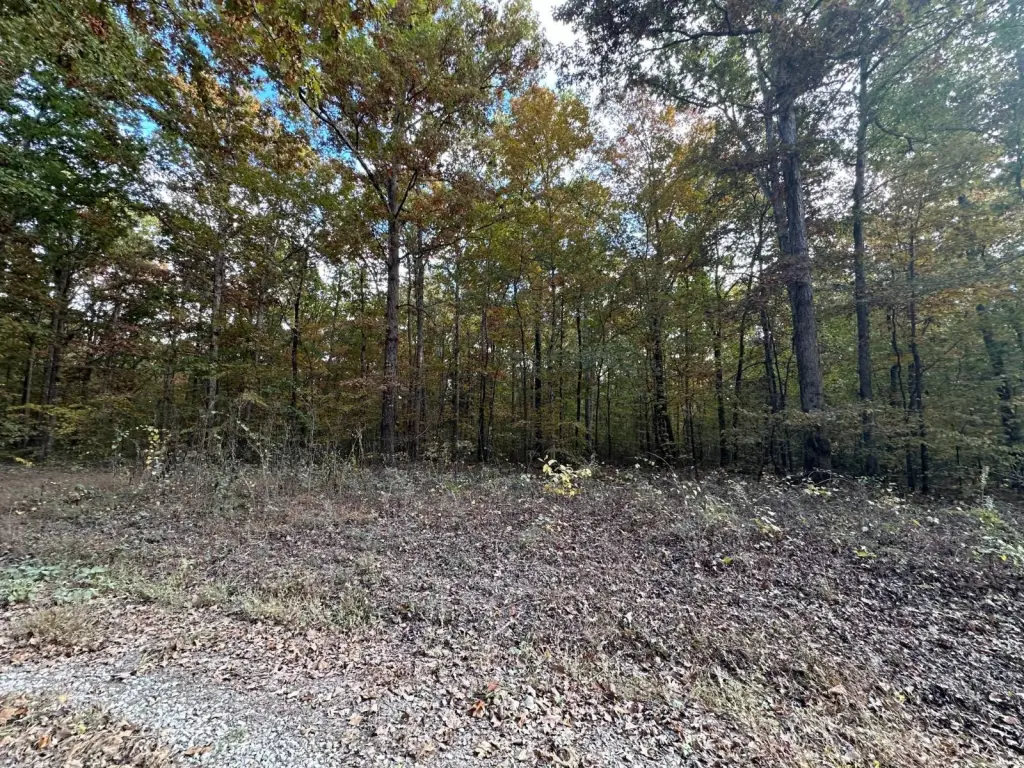 Picture 6