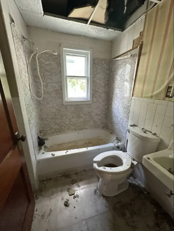 Picture 11