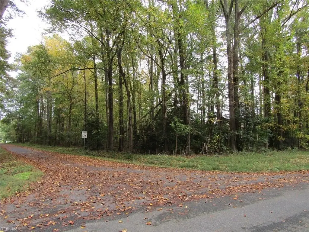 Picture 3
