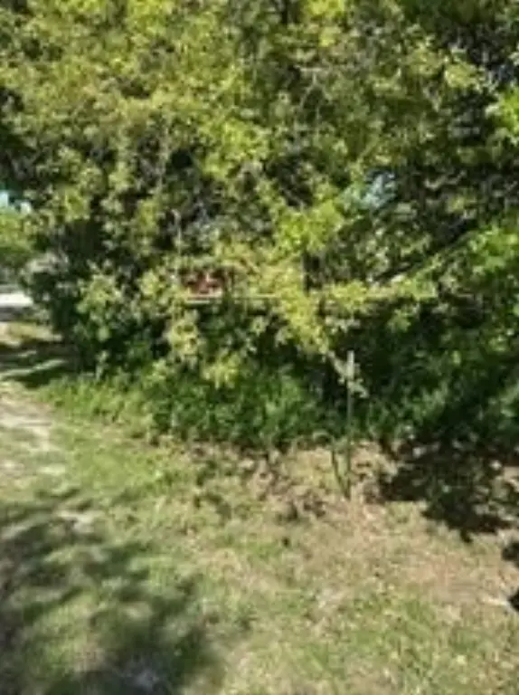 Picture 3