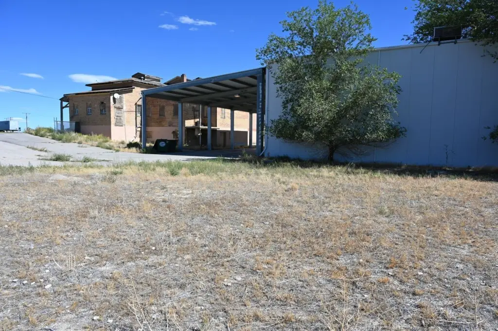 Picture 5