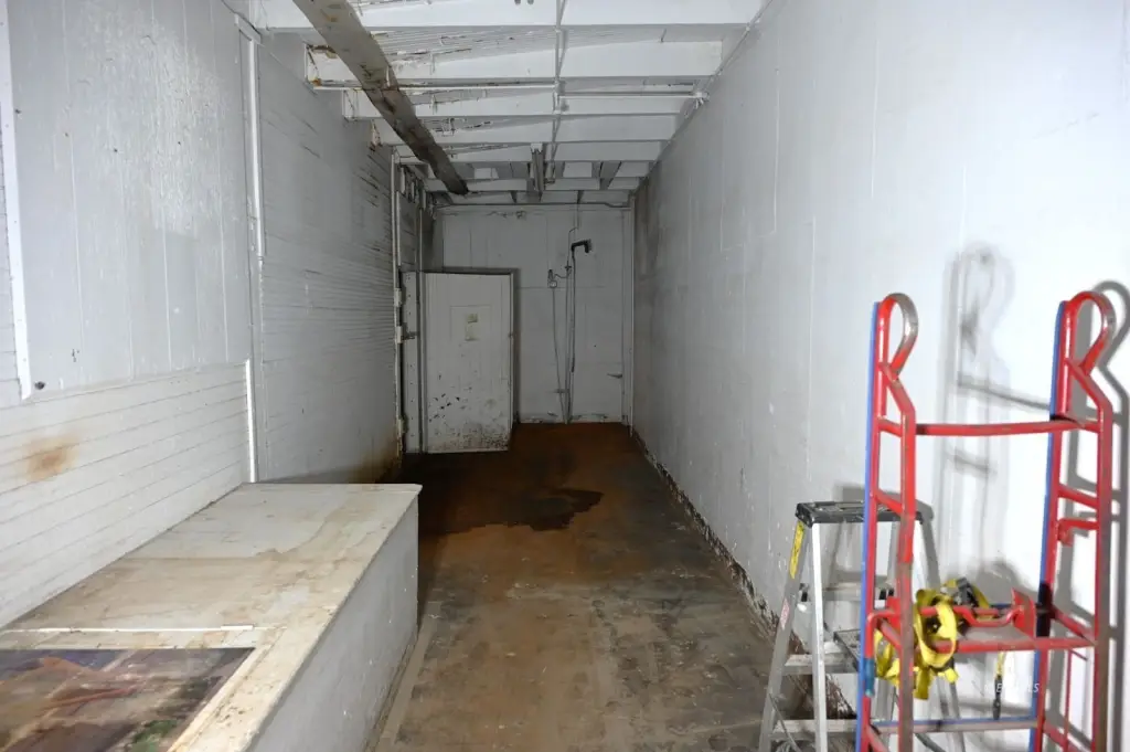 Picture 12