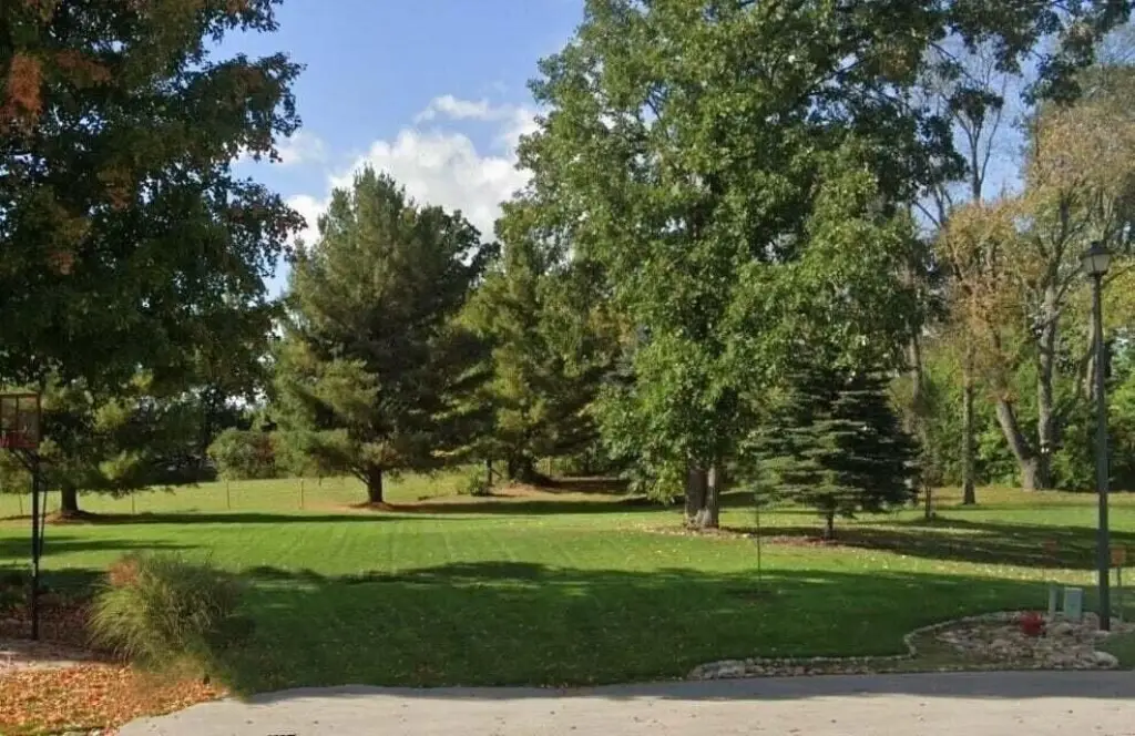 Picture 3