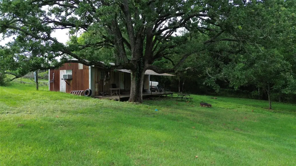 Picture 23