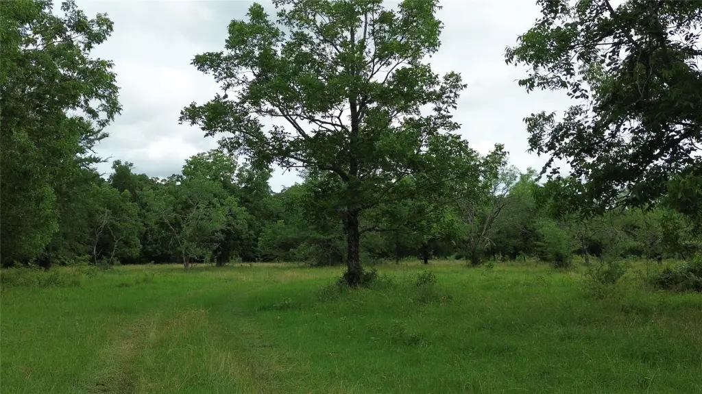 Picture 10