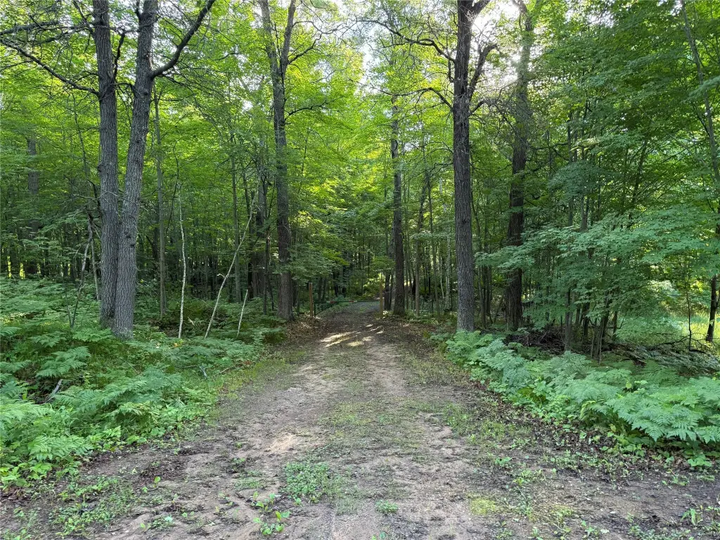 Picture 32