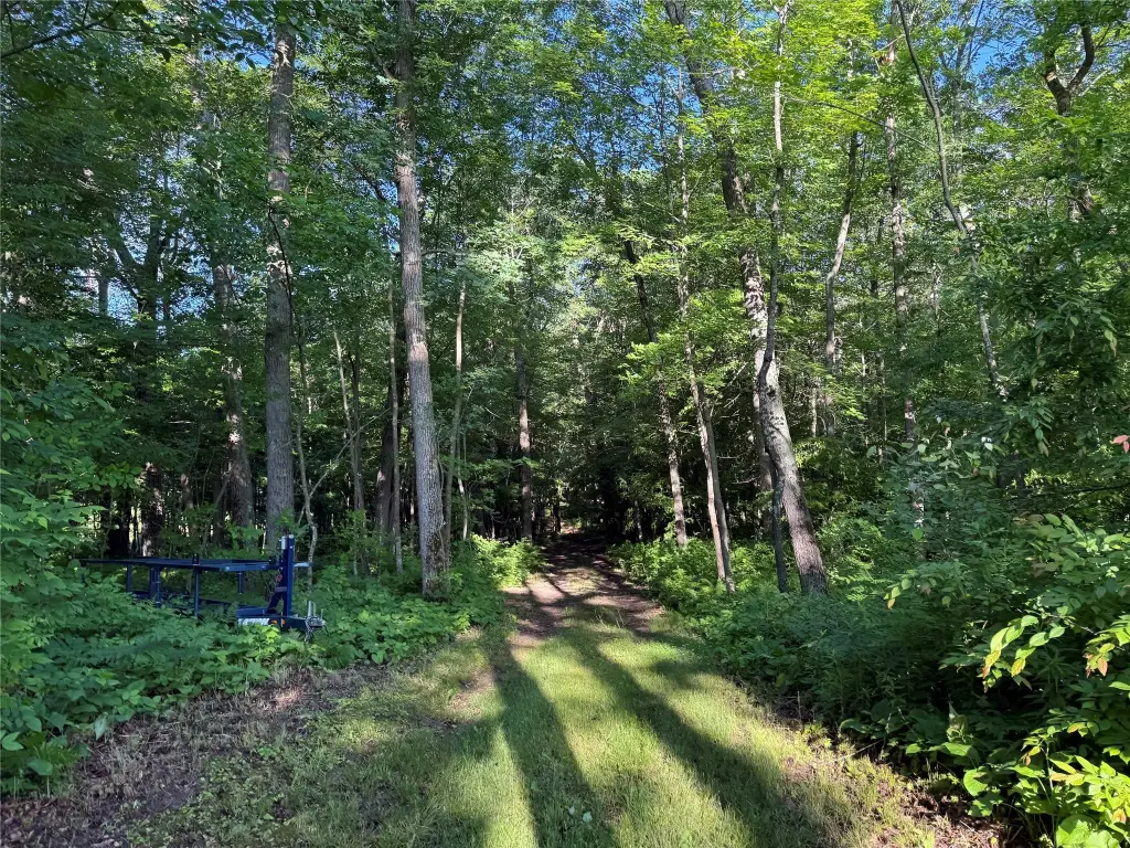 Picture 22