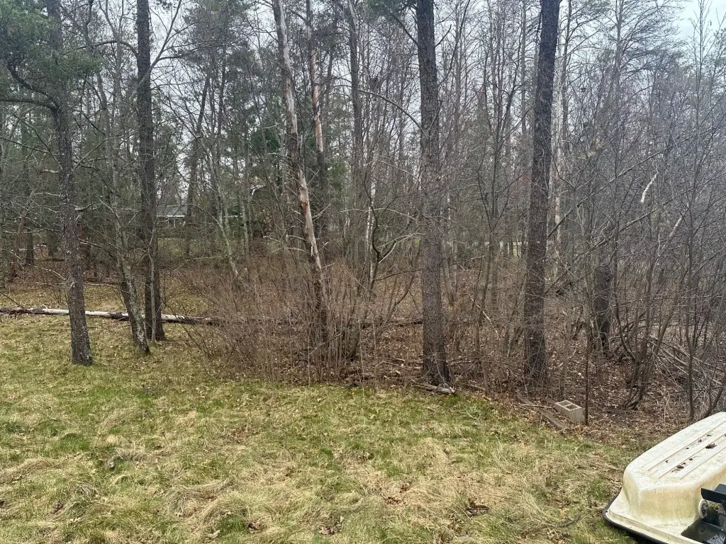 Picture 4