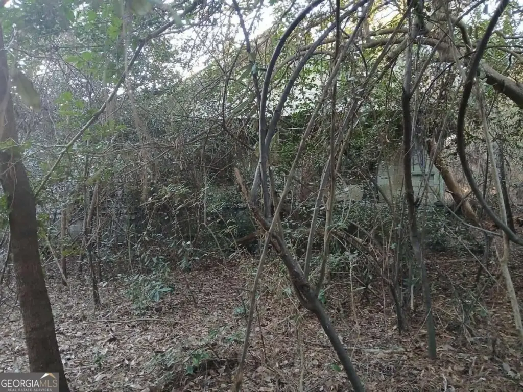 Picture 2