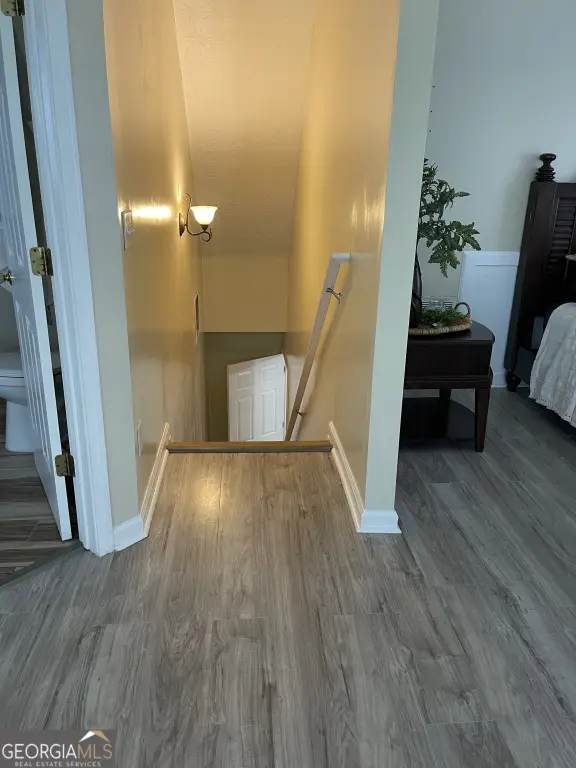 Picture 19