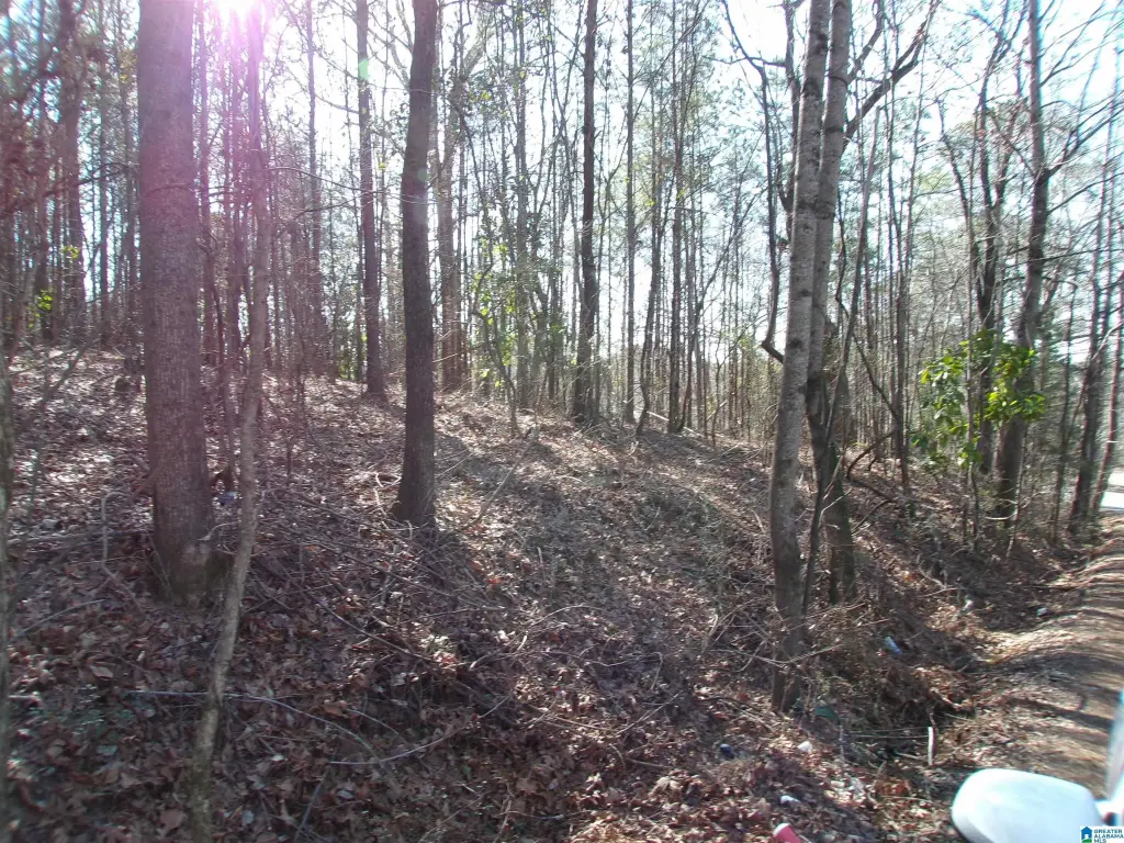 Picture 11