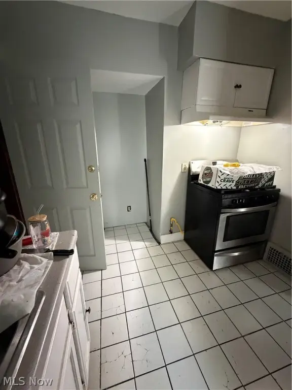 Picture 5