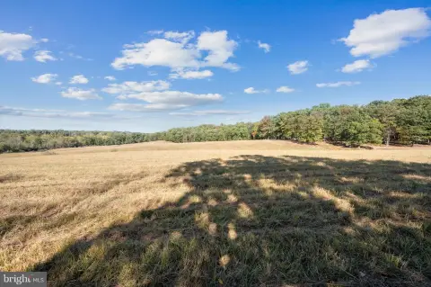 Land Opportunity in Stephenson, VA