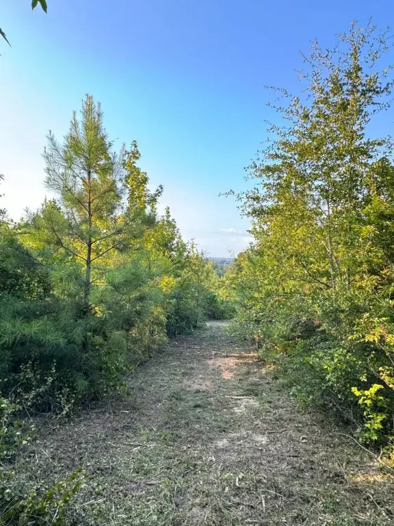 Picture 23