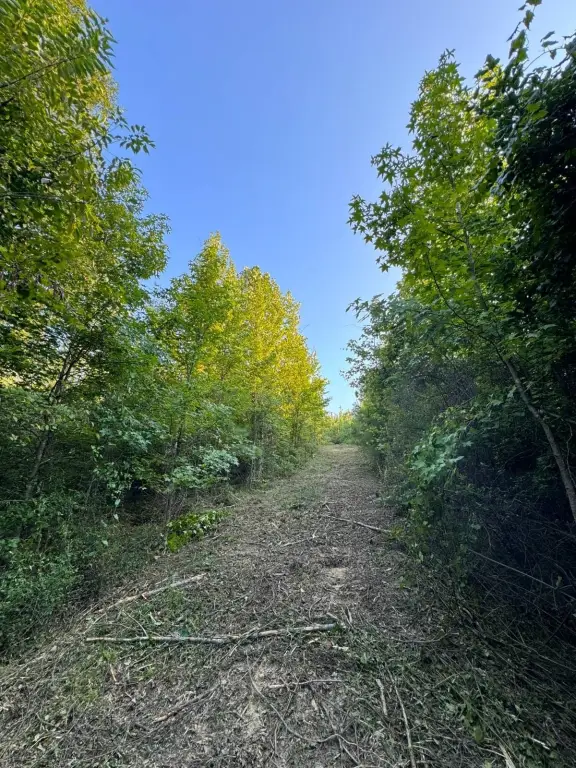 Picture 20