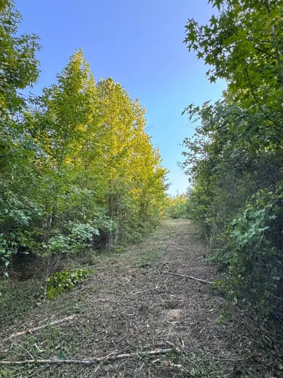 Picture 19