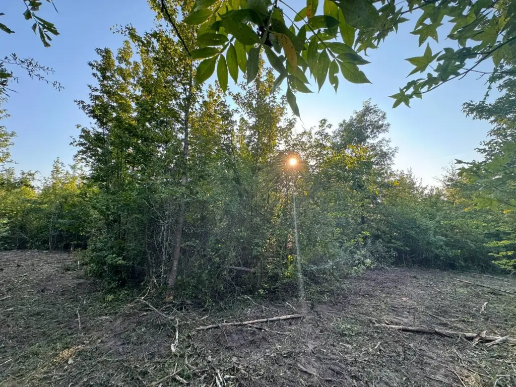 Picture 21