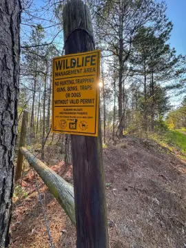 Land Near Wildlife Management Area