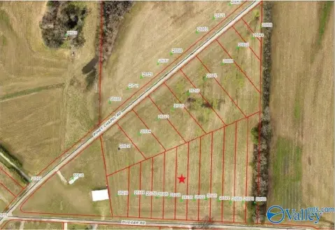 Land Lot in Athens, AL