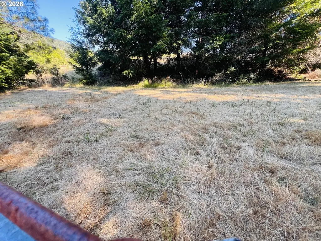 Picture 14