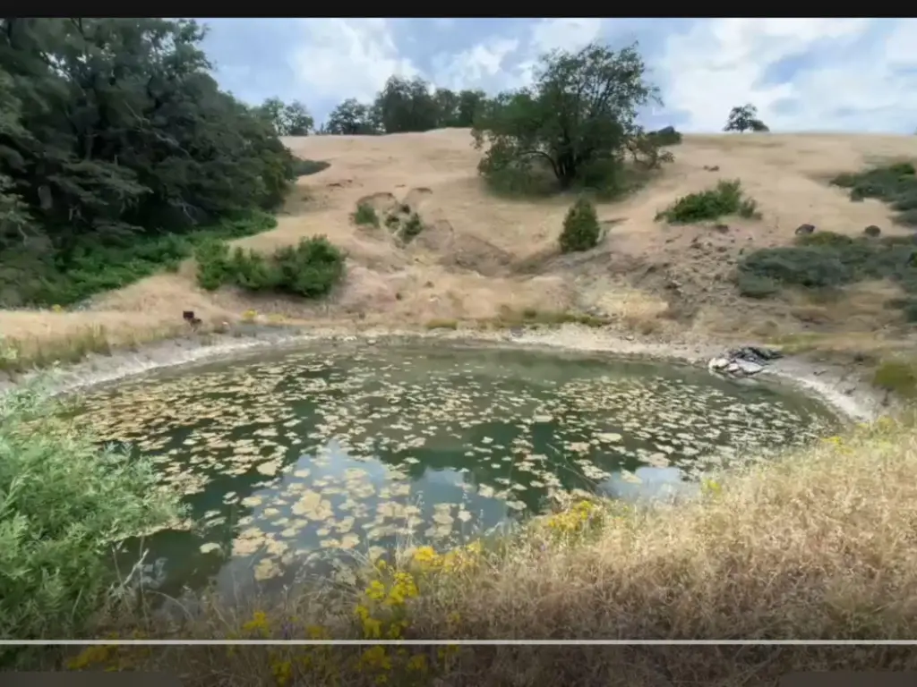 Picture 13