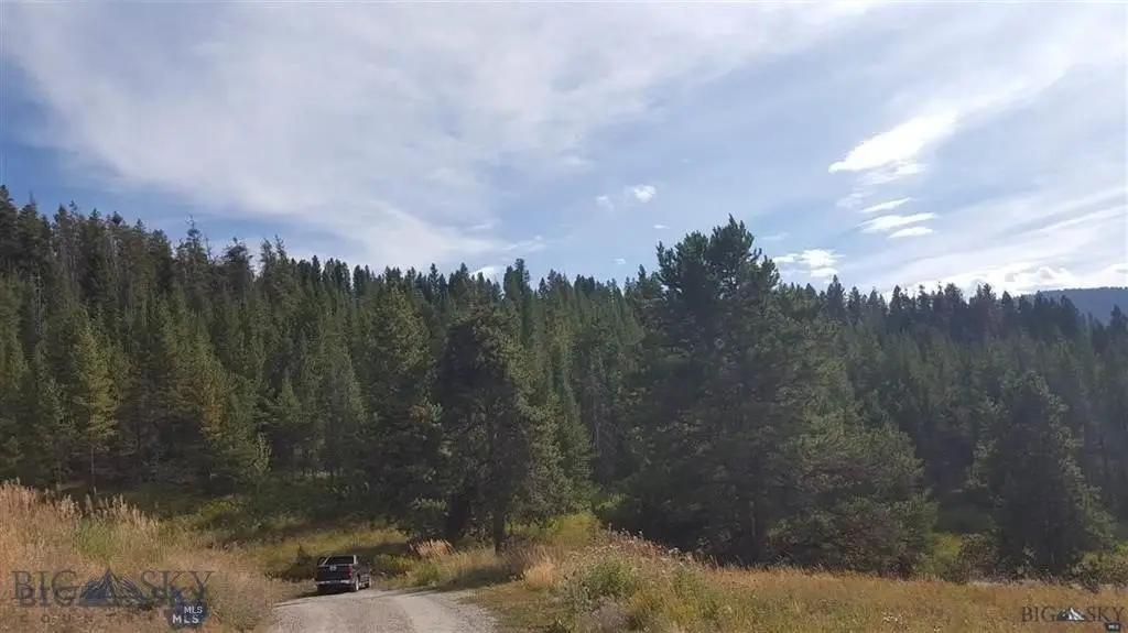 Picture 4