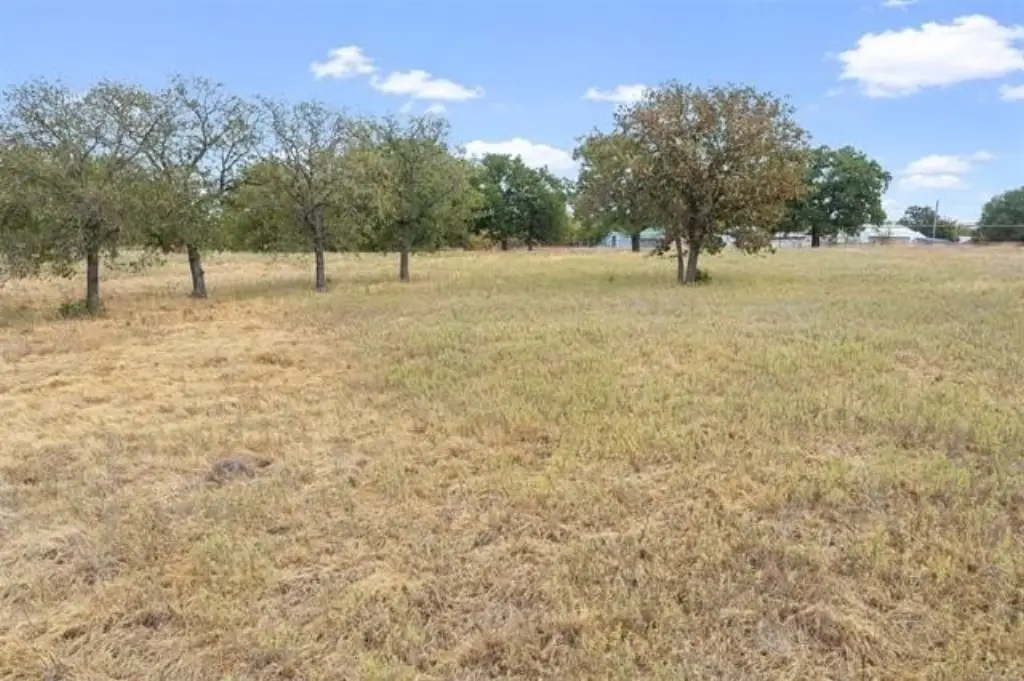 Picture 26