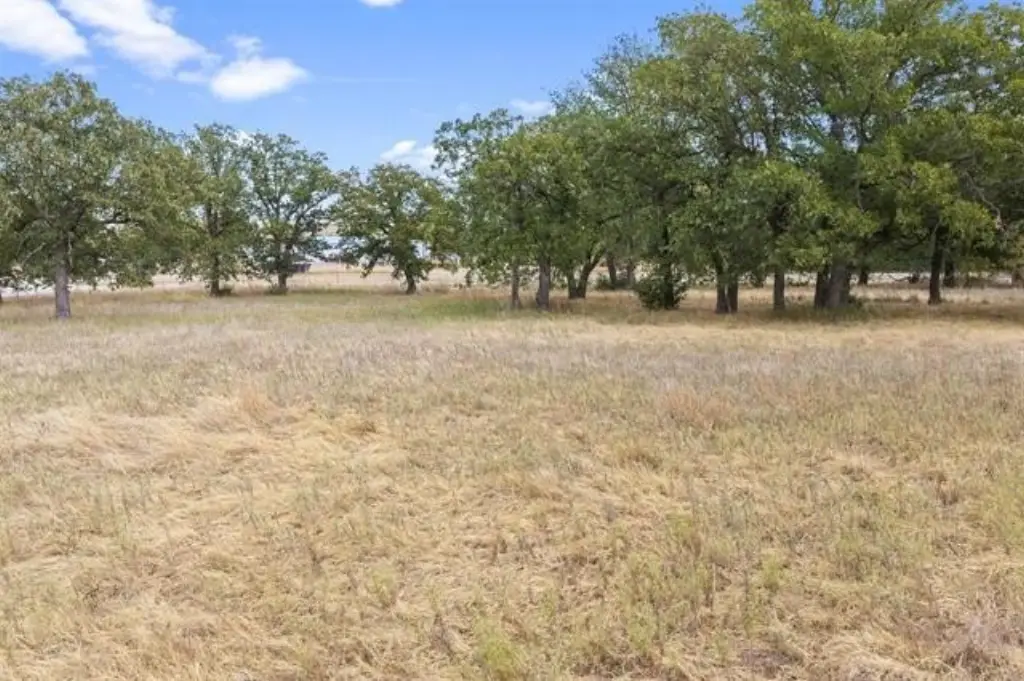Picture 27