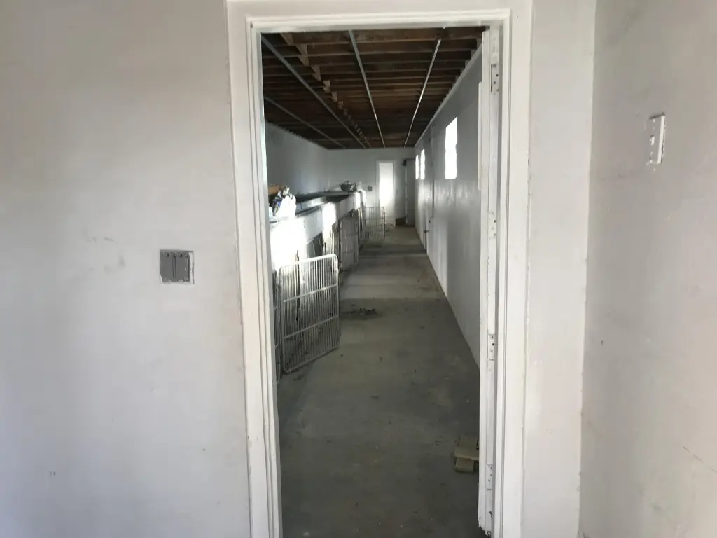 Picture 5