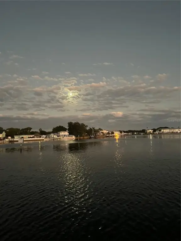 Picture 13