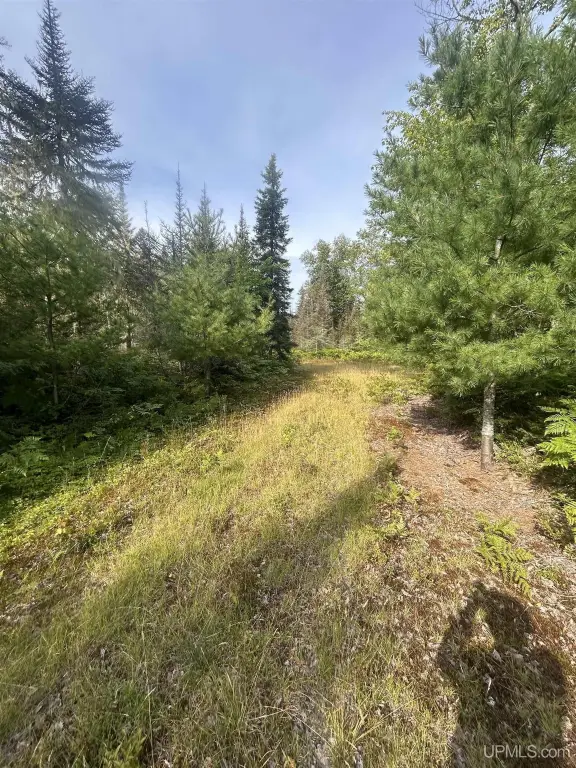 Picture 6
