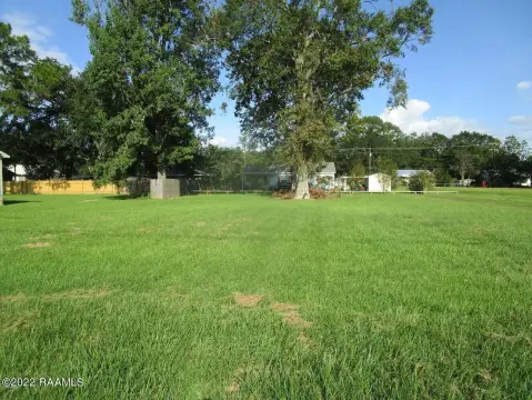 Land For Sale, Ville Platte