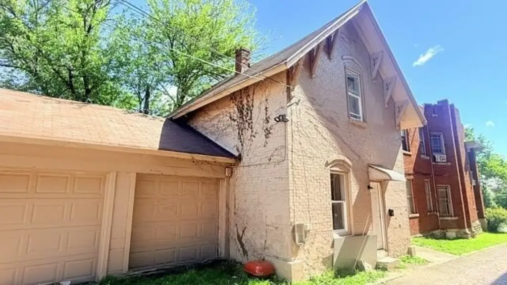 Picture 6