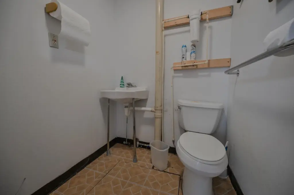 Picture 5
