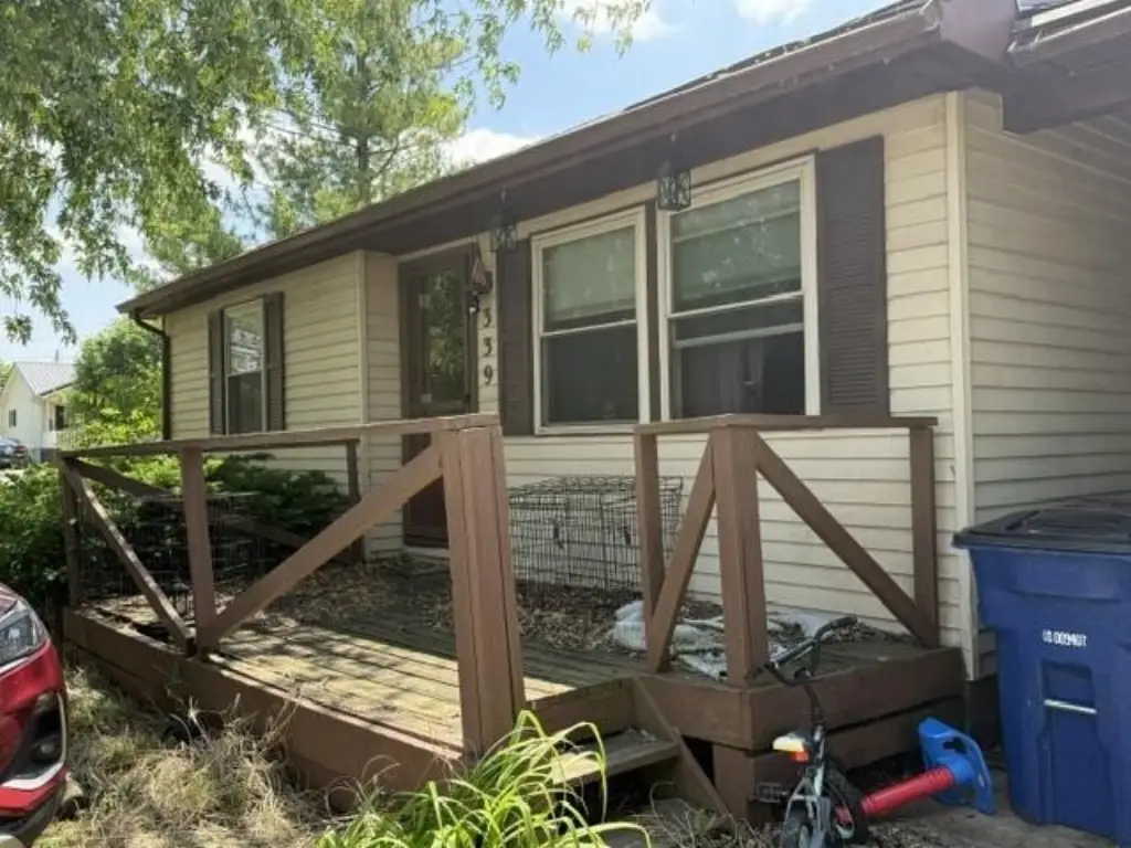 Picture 5