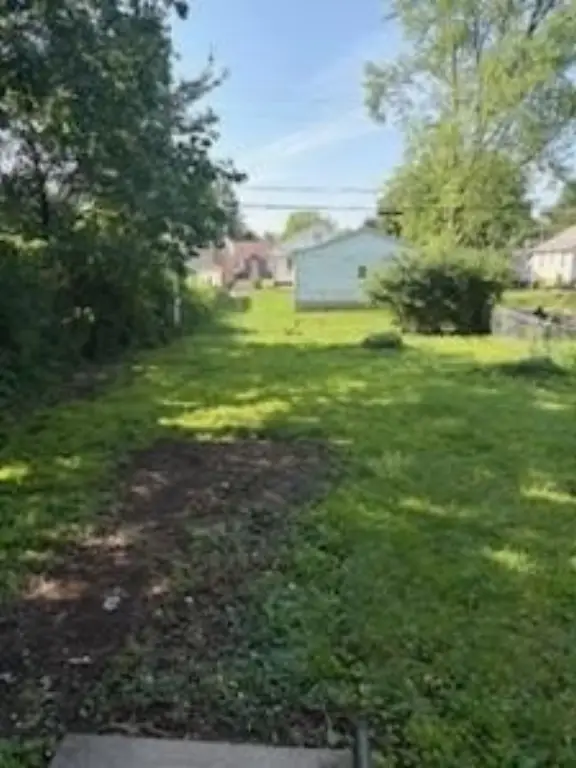 Picture 13