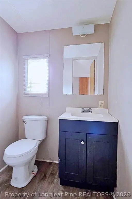 Picture 16
